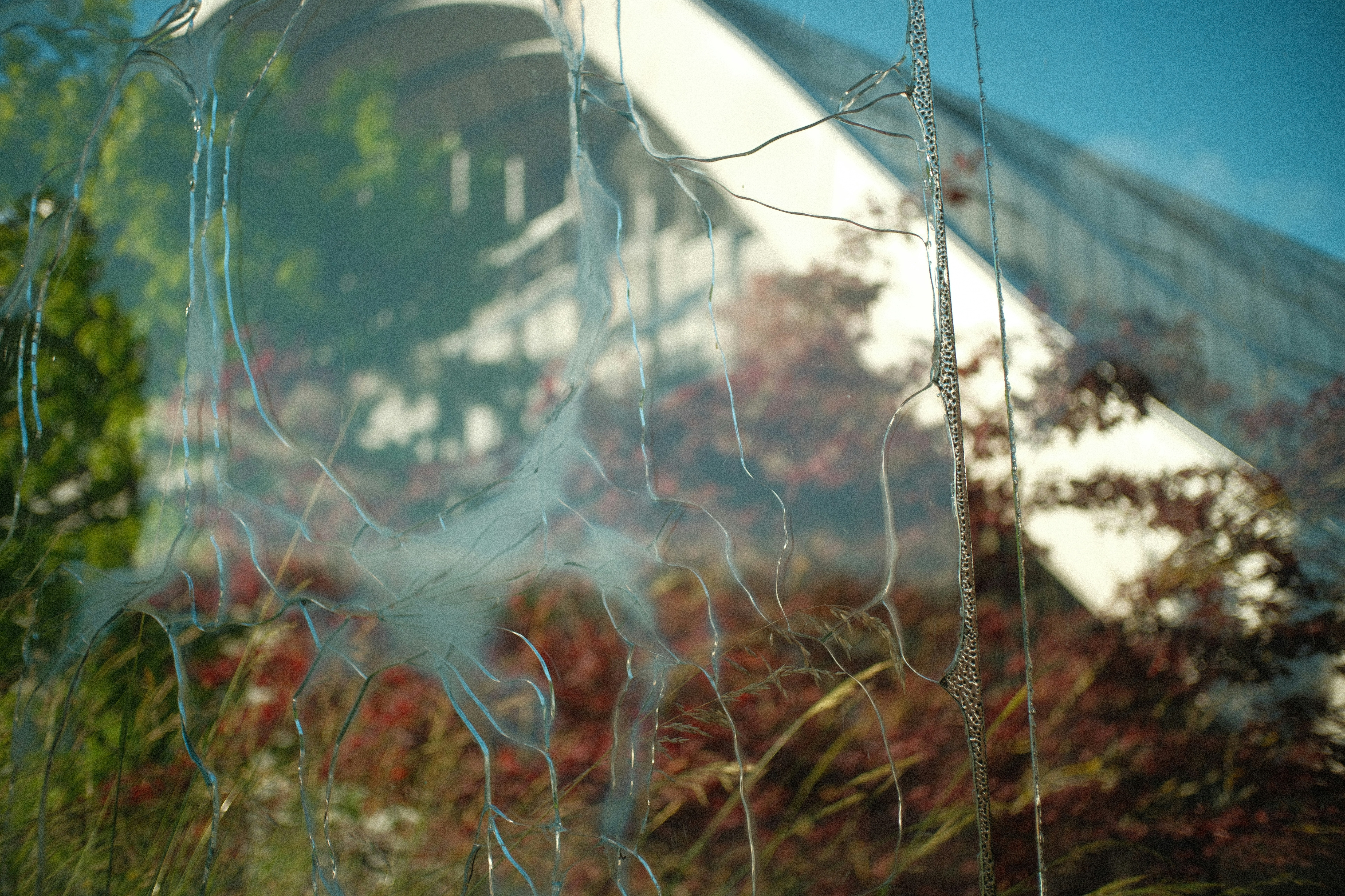 Glasreparatur bei der Glaserei in Magdeburg